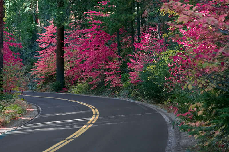 Roads and Maps – Pine Mountain Lake