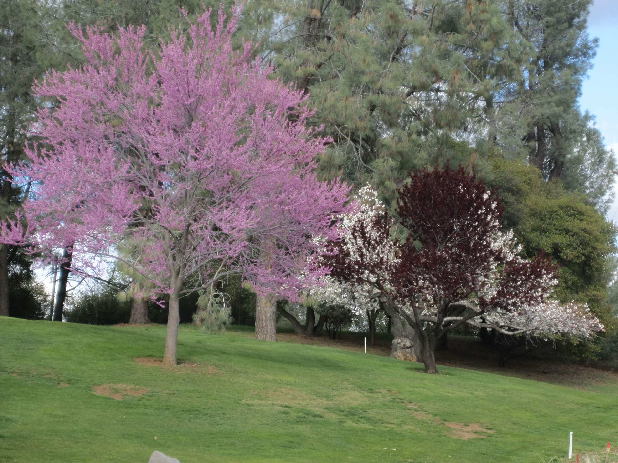 Pine Mountain Lake – PML Home Owner Association