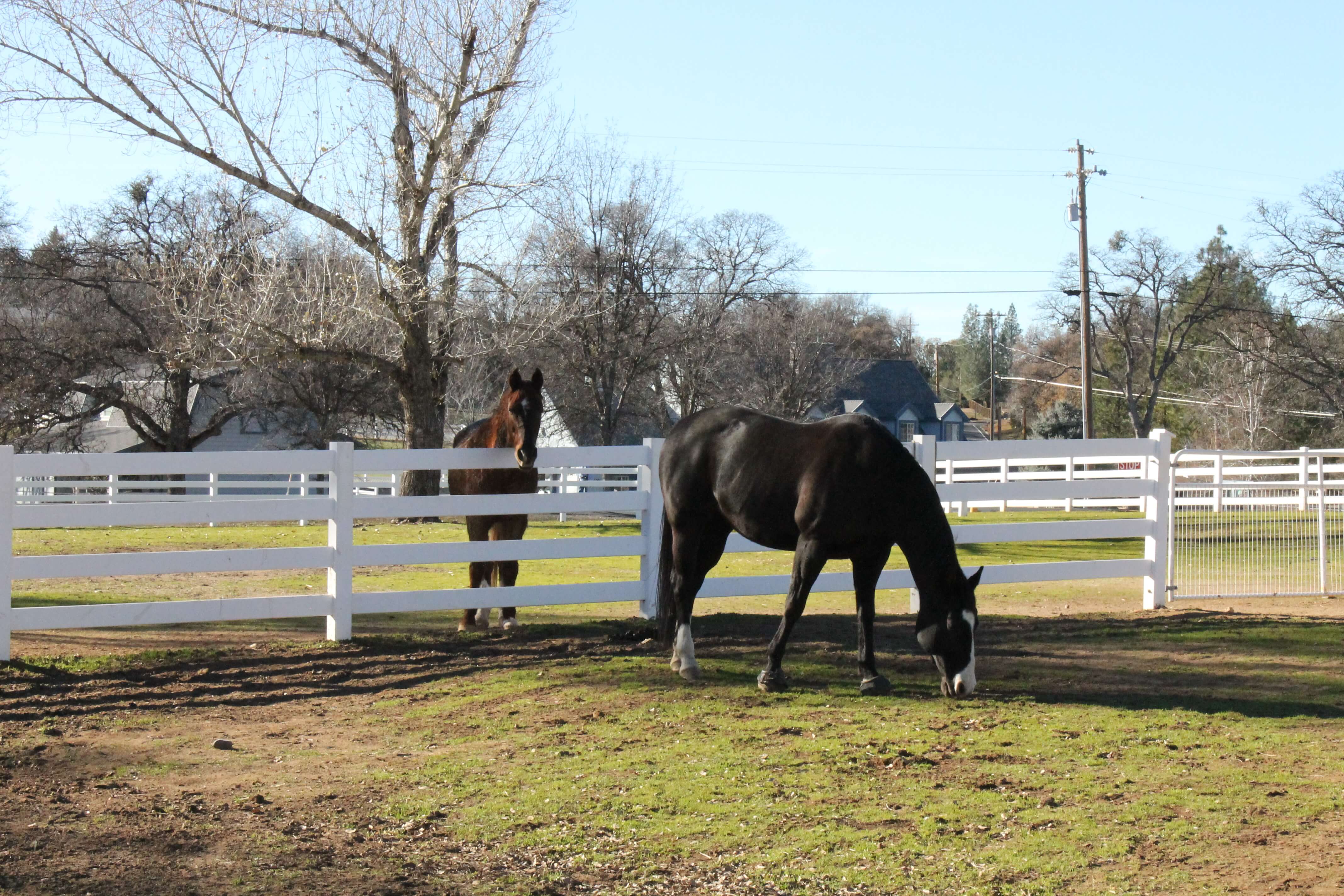 Stables 67 Pine Mountain Lake